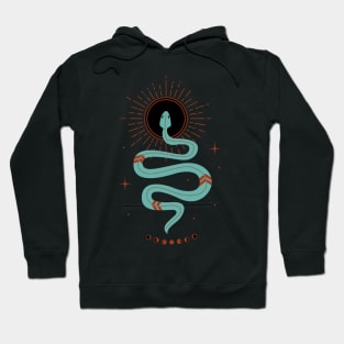 Turquoise Snake Hoodie